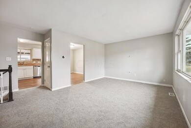 3-web-or-mls-4981-cryodon-blvd-n