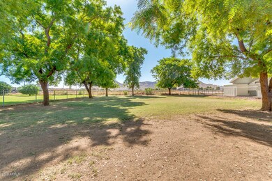 Excelsior - Large Mature Trees