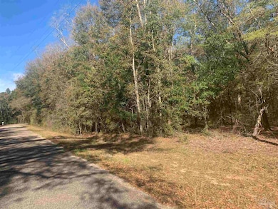 0 Forest Hills Ln unit 660957, Milton, FL 32570 - photo 3