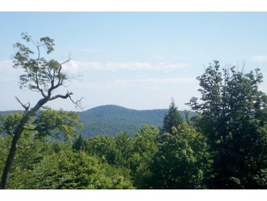 6 Beech Tree Ln, East Dover, VT 05341 - photo 5