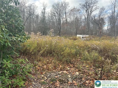 27 Richland Rd, Covington Township, PA 18444 - photo 2