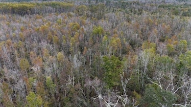 651 NW Flowers Rd, Madison, FL 32340 - photo 6