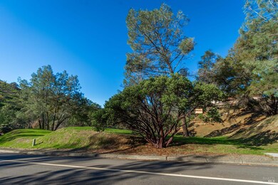 1155 Steele Canyon Rd, Napa, CA 94558 - photo 4