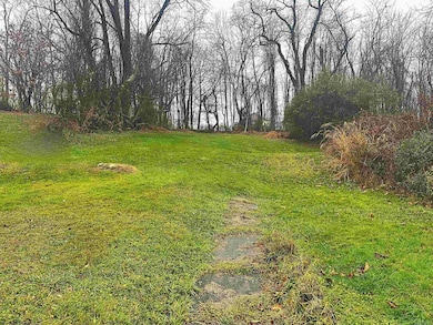 607 Palatine Ave, Fairmont, WV 26554 - photo 4