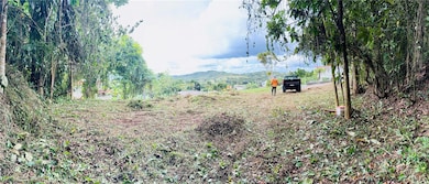 0 Calle Pineros, Cayey, PR 00736 - photo 3