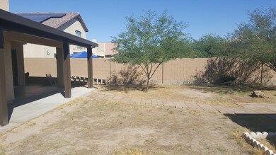 Backyard/Patio