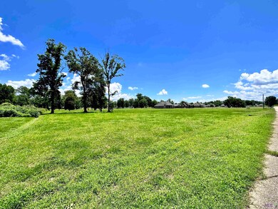 3224 Stanford Levy Rd, Darrow, LA 70725 - photo 4