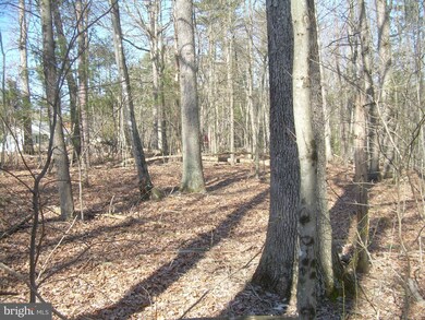 0 Sarah Ln unit 1003456286, Basye, VA 22810 - photo 2