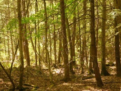 0 Pierce Ln unit 59, Westmoreland, NH 03467 - photo 3