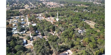 1163 E Canvas Ln, Hernando, FL 34442 - photo 4