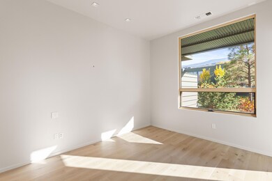 101 Willits Way unit 202, Basalt, CO 81621 - photo 6