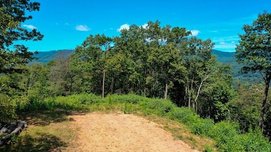 6 Black Rock Trail, Andrews, NC 28901 - photo 3