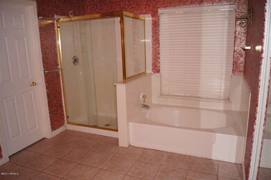 Master Bath Tub/Shower
