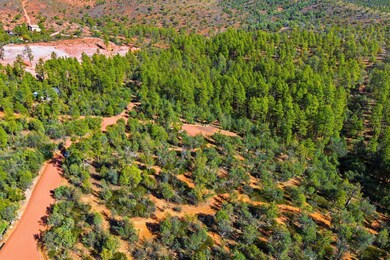 0 Fawn Dr unit 93199, Pine, AZ 85544 - photo 4