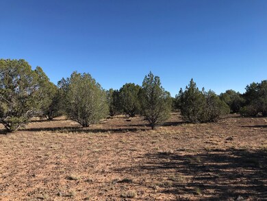 206 Brava Ln, Ash Fork, AZ 86320 - photo 7