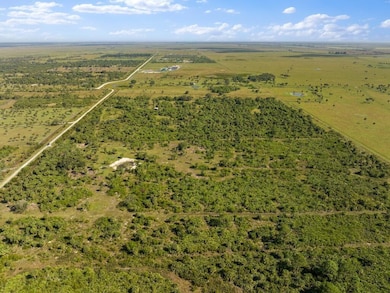 1188 Cabbage Ln, Okeechobee, FL 34974 - photo 4