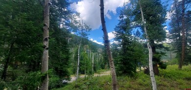 222 Engineer Dr, Durango, CO 81301 - photo 7