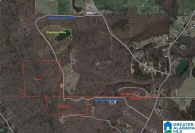 8924 Pine Mountain Rd, Pinson, AL 35126 - photo 6