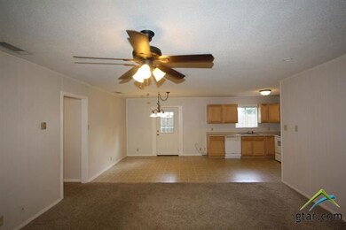 12090 County Road 2243, Tyler, TX 75707 - photo 3