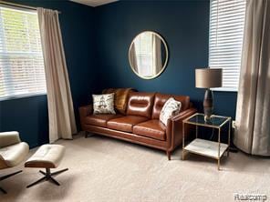 Living area with carpet