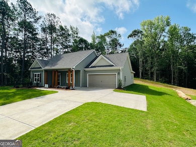 25 Patterson Dr, Franklin, GA 30217 - photo 3