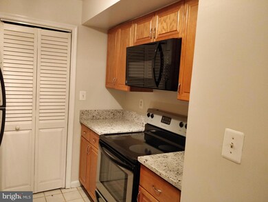 4552 28th Rd S unit 166, Arlington, VA 22206 - photo 6