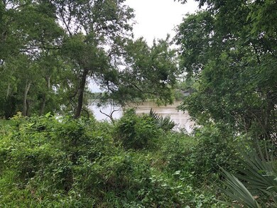 3103 County Road 310, Brazoria, TX 77422 - photo 2