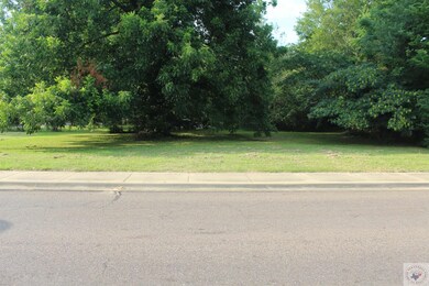 801 N Graham St, Other, AR 71801 - photo 5