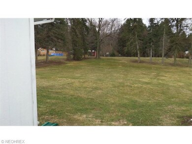 Large back yard