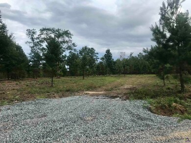 2420 Dennis Rd, Macon, GA 31220 - photo 3