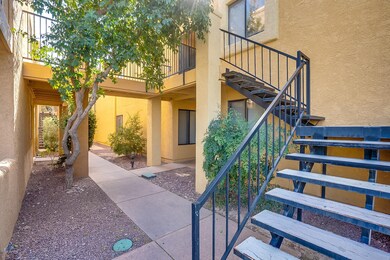 8267 Oracle Road-3