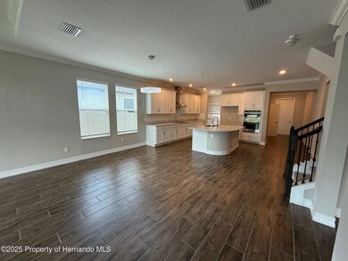 9904 Wild Begonia Loop, Land O' Lakes, FL 34637 - photo 7