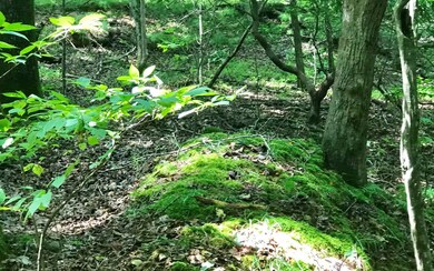 J296 Valley View Rd, Ellijay, GA 30536 - photo 2