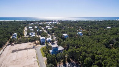 model-homes-and-drone-shots-053