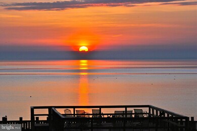 1301 Rogers Rd unit 4, Annapolis, MD 21409 - photo 2