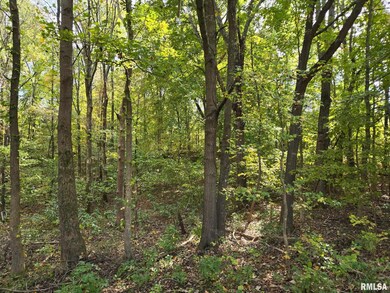 TBD State Highway 145 S Hwy, Metropolis, IL 62960 - photo 2