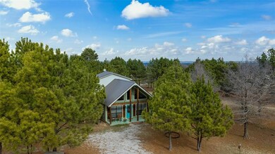 1718 County Road 4757, Boyd, TX 76023 - photo 6