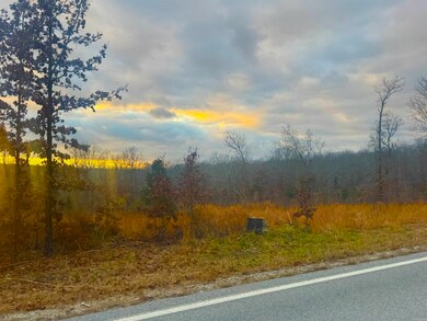 Lot 9 S Bend Dr, Horseshoe Bend, AR 72512 - photo 4