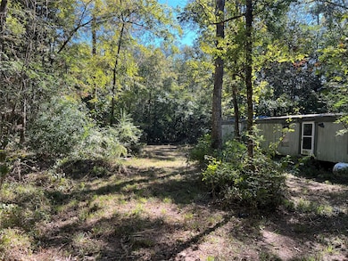 162 Meadow Ln, Livingston, TX 77351 - photo 6