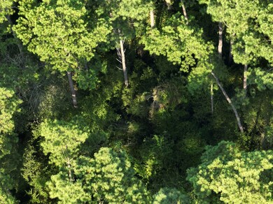 Lot 3 Cedar Ct, Plantersville, TX 77363 - photo 2