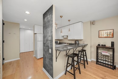 Newberry Plaza unit 39A, Chicago, IL 60610 - photo 6