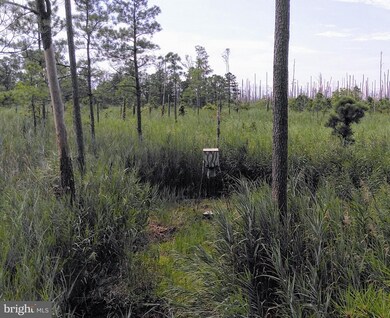 2506 Wesley Rd, Crapo, MD 21626 - photo 3