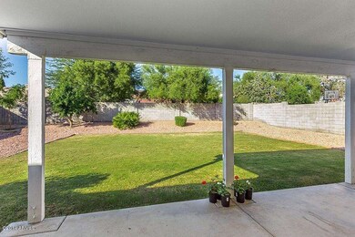 Private Back Yard