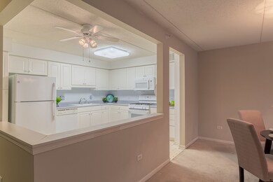 Eagle Point Condominiumns unit 202, Niles, IL 60714 - photo 5