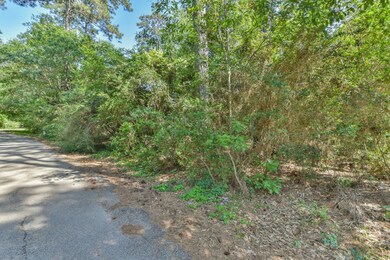 00 Warbler Way, Holly Springs, TX 77447 - photo 5