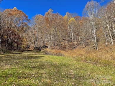 890 Panther Branch Rd, Hot Springs, NC 28743 - photo 4