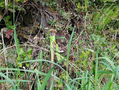 21 xxx Lake Riley Rd, Arlington, WA 98223 - photo 4