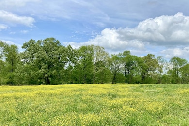 418 Creekmore Rd, Cottontown, TN 37048 - photo 5