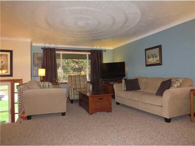 Living Room. There are HW floors under the carpet.