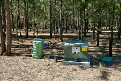 51915 Swiss, La Pine, OR 97739 - photo 6